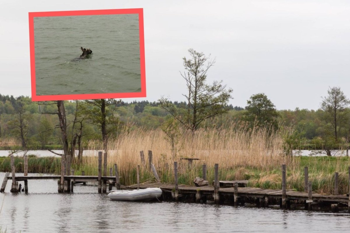 Ostsee Wasserpolizei.jpg