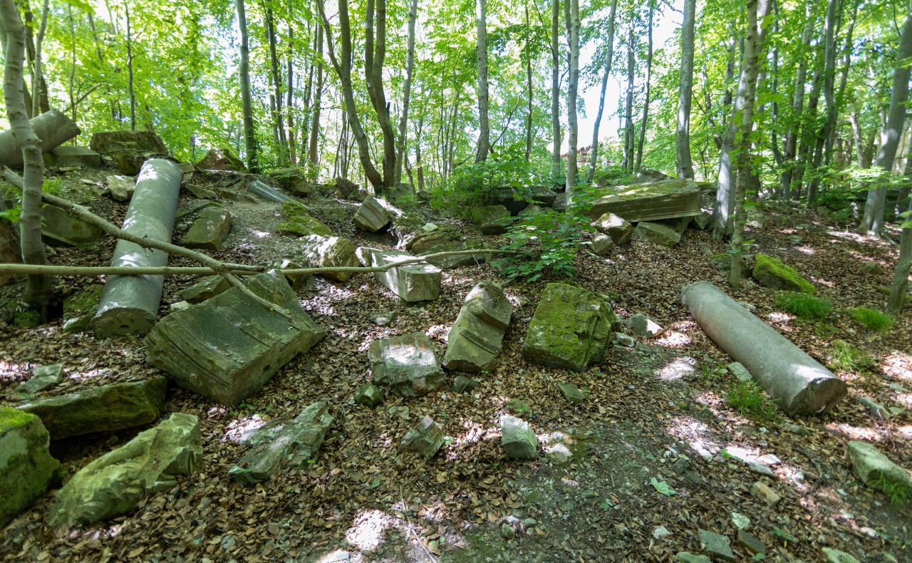 Mitten in einem Wald auf der Insel Rügen findet sich ein verborgener Ort (Symbolbild). 