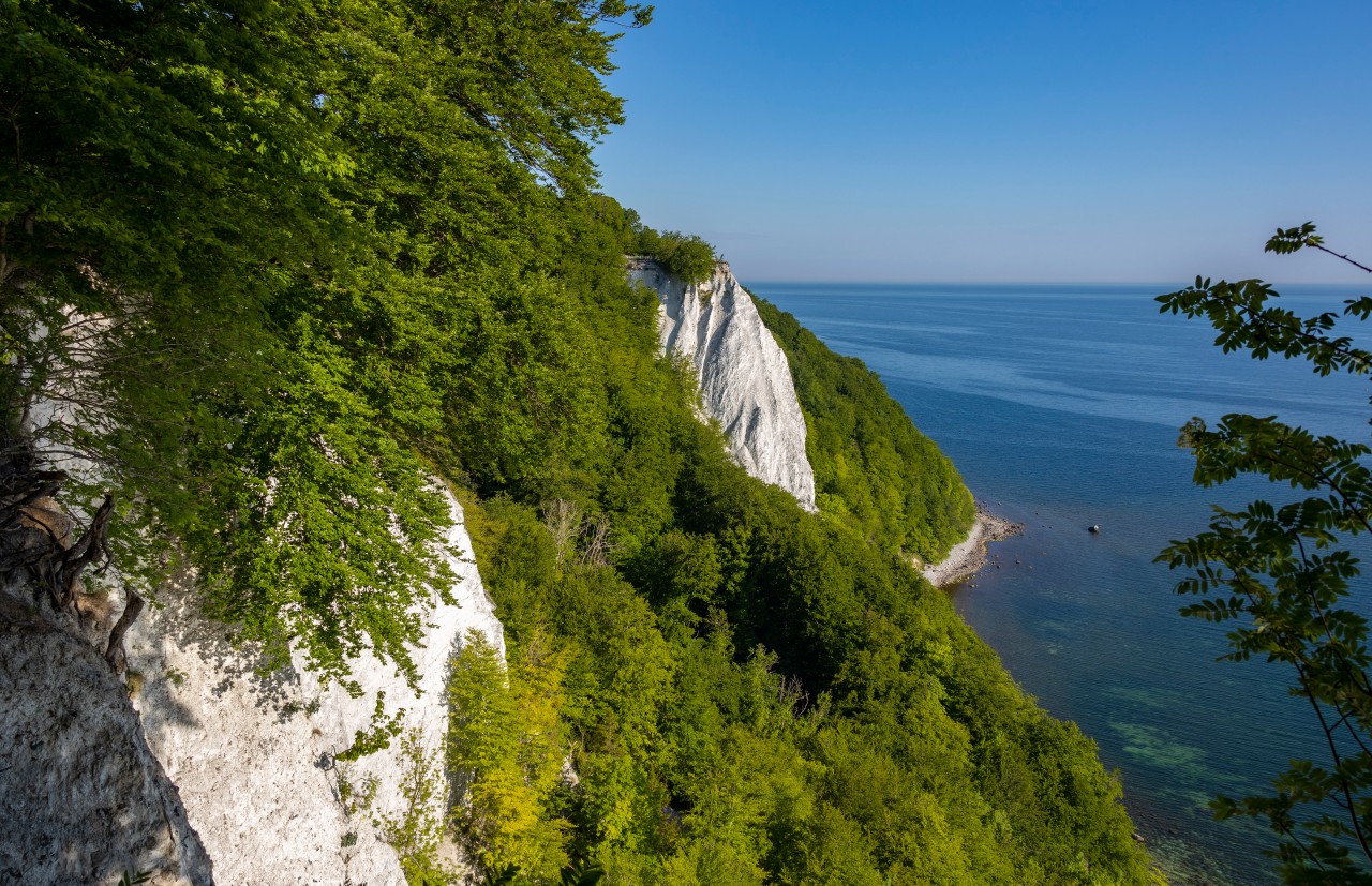 Der beliebe Ausblick auf die Kreidefelsen von Rügen.