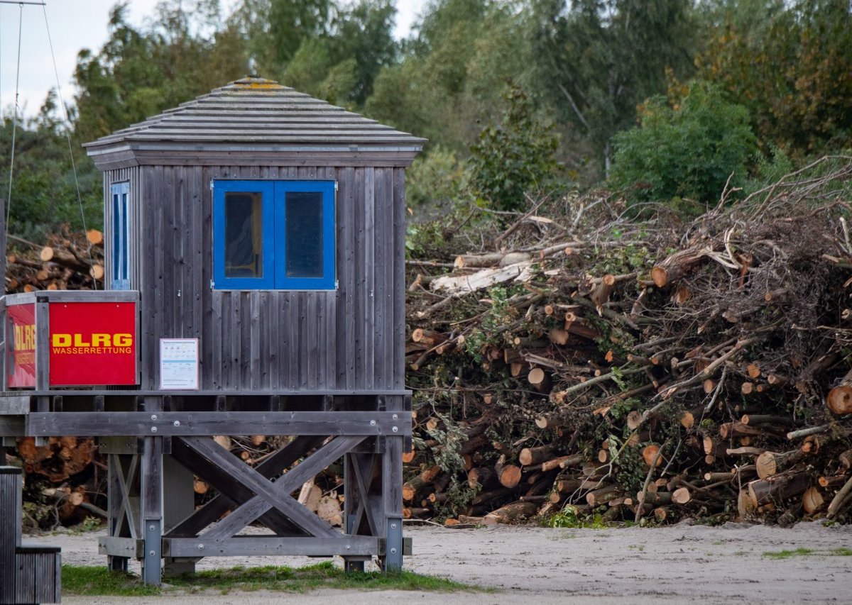 Rügen Altefähr Park Ostsee Stralsund Bäume fällen Kurpark