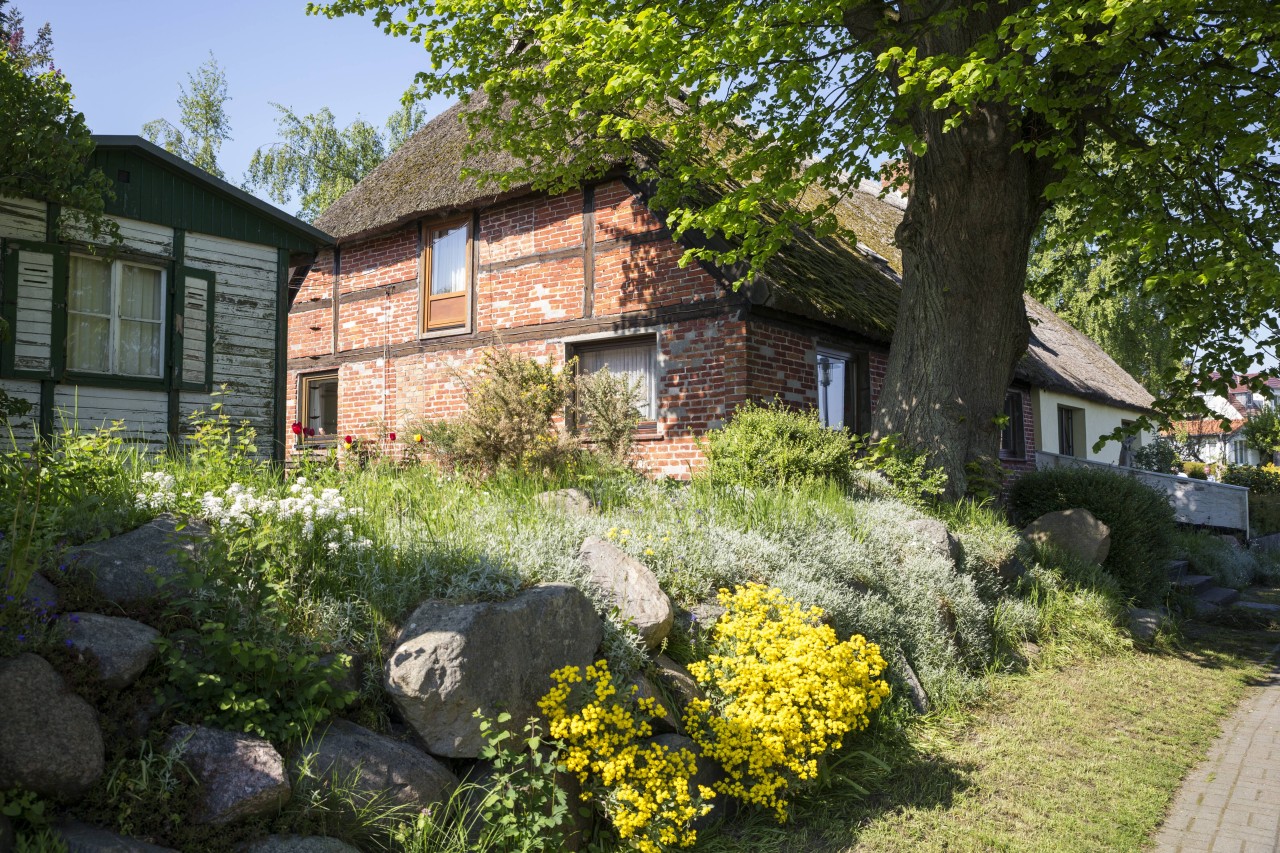 Ein Garten auf der Insel Rügen.