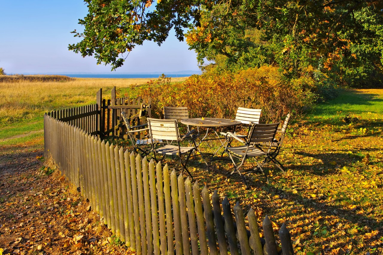 Ein Garten auf der Ostsee-Insel Rügen. (Symbolbild) 