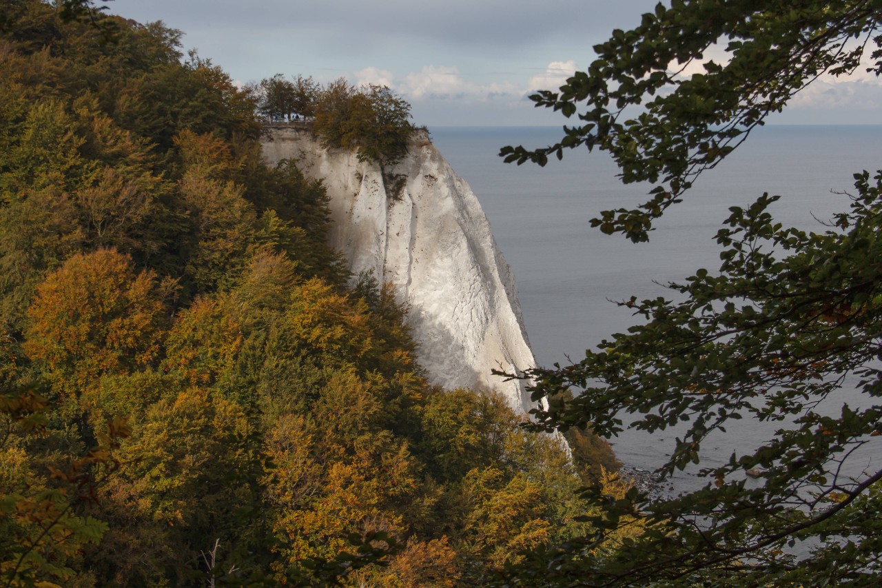 Der Königsstuhl auf Rügen soll neue Treppe und Aussichtsplattform erhalten. 