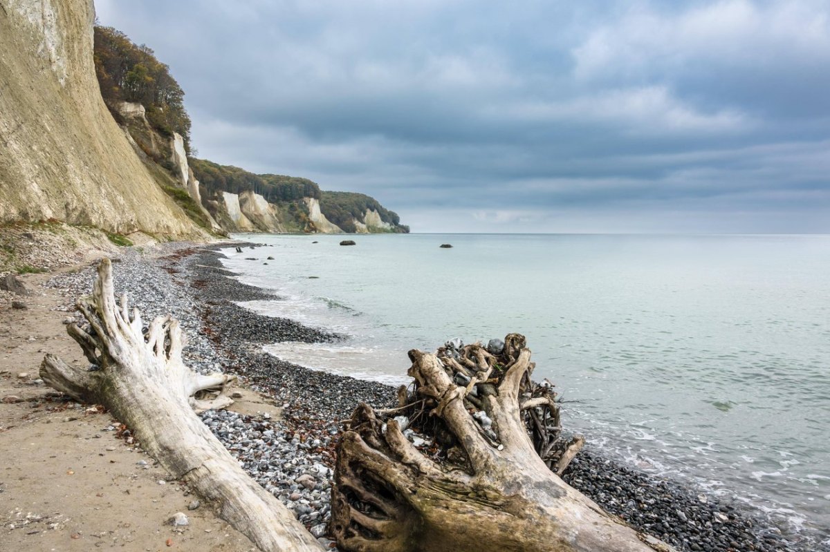 Rügen Kreidefelsen.jpg