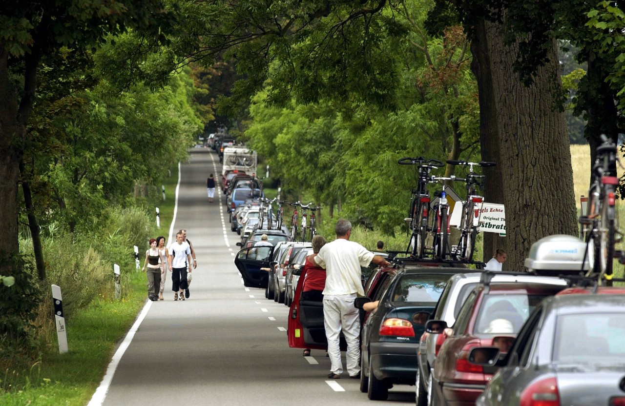 Stau auf der Landstraße nach Rügen ist keine Seltenheit. 