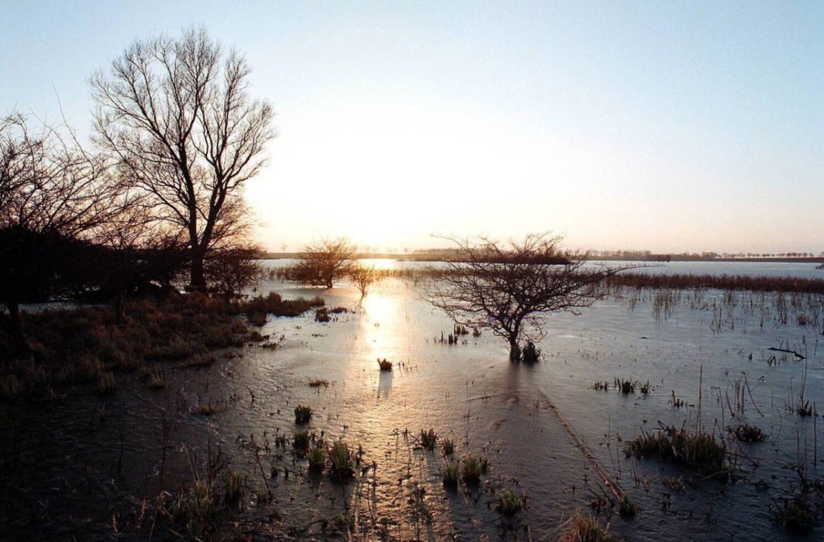 Rügen Nonnensee.jpg