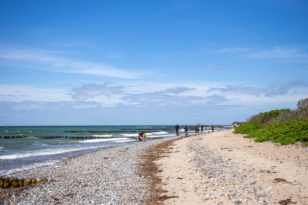 Am Strand von Rügen kann man viele kuriose Steine finden. 