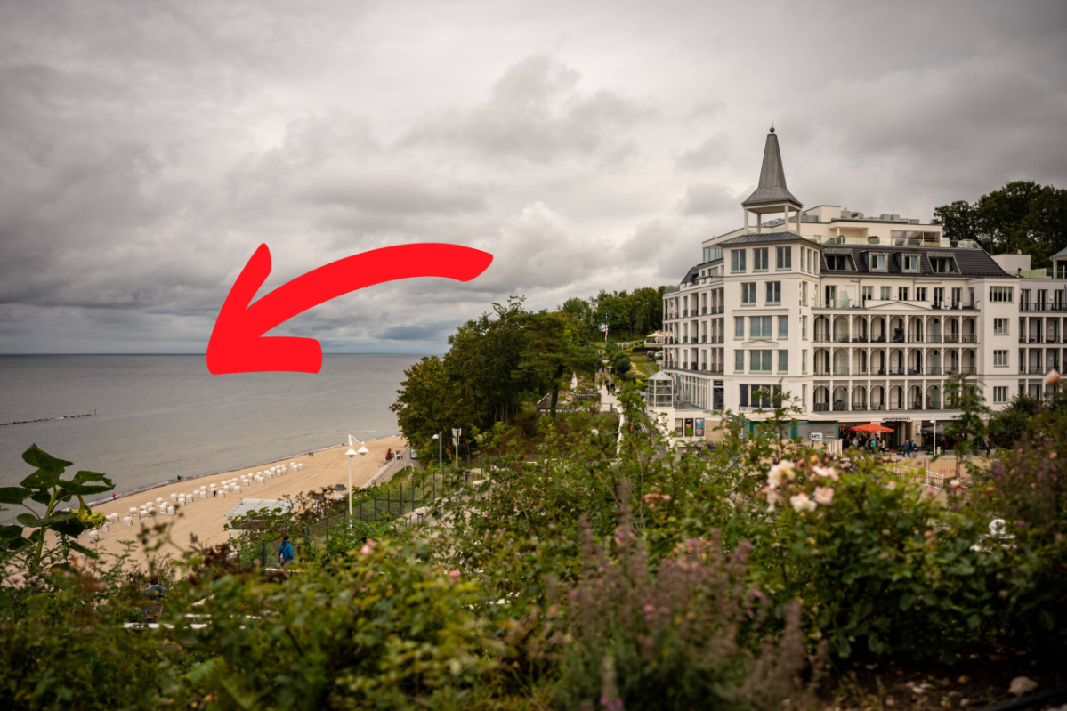 Rügen ostsee Urlaub Strand Fisch Insel Spaziergang Mecklenburg-Vorpommern Tobiasfisch Sandaal