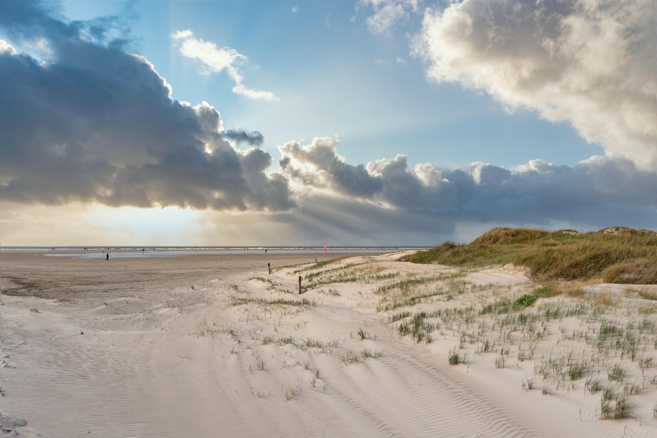 In Sankt Peter-Ording ist eigentlich genug Platz für alle. 