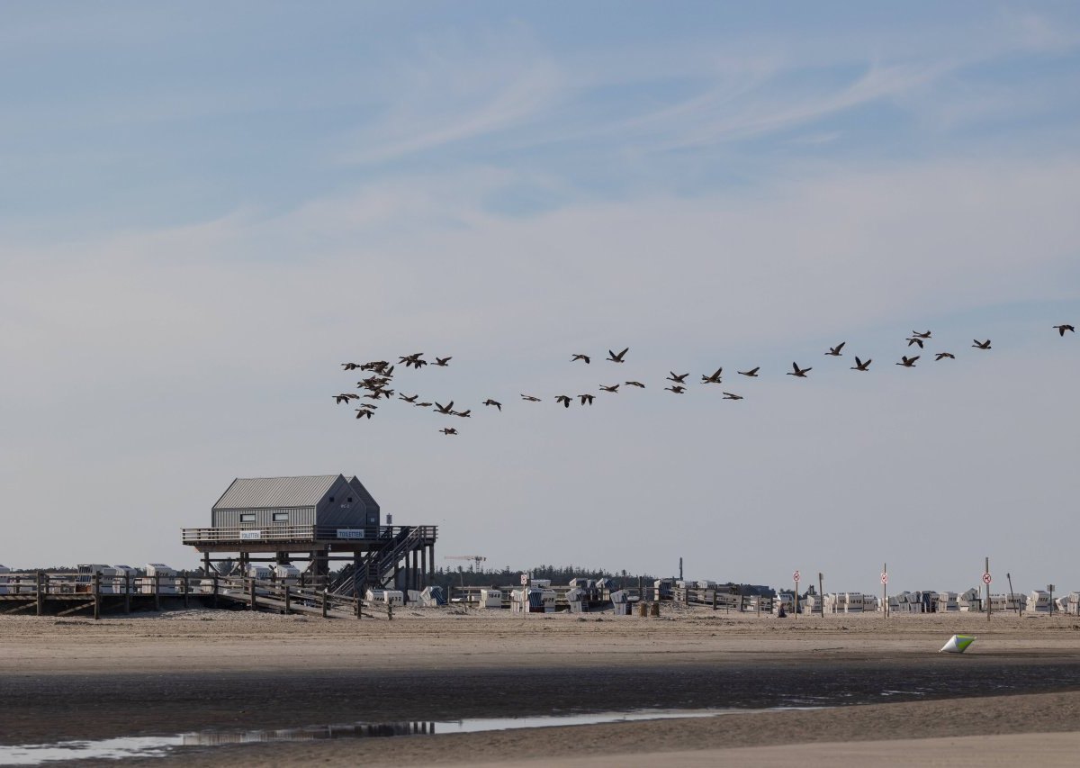 Sankt Peter-Ording.jpg