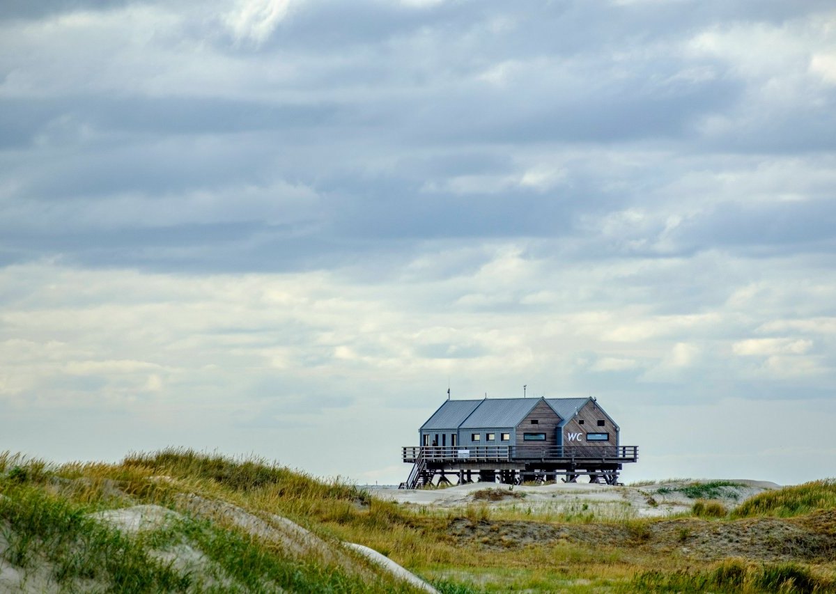 Sankt Peter-Ording Dünen Strand.jpg