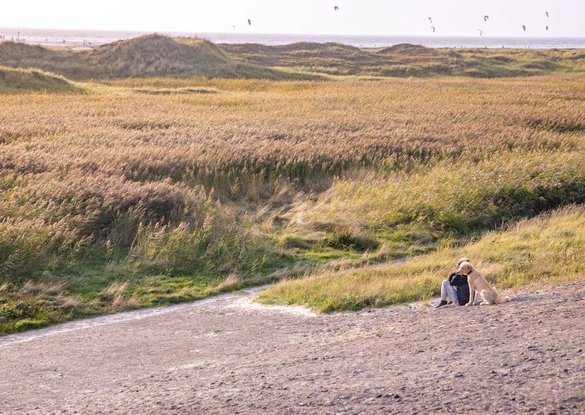 Sankt Peter-Ording Nationalpark Wattenmeer.jpg