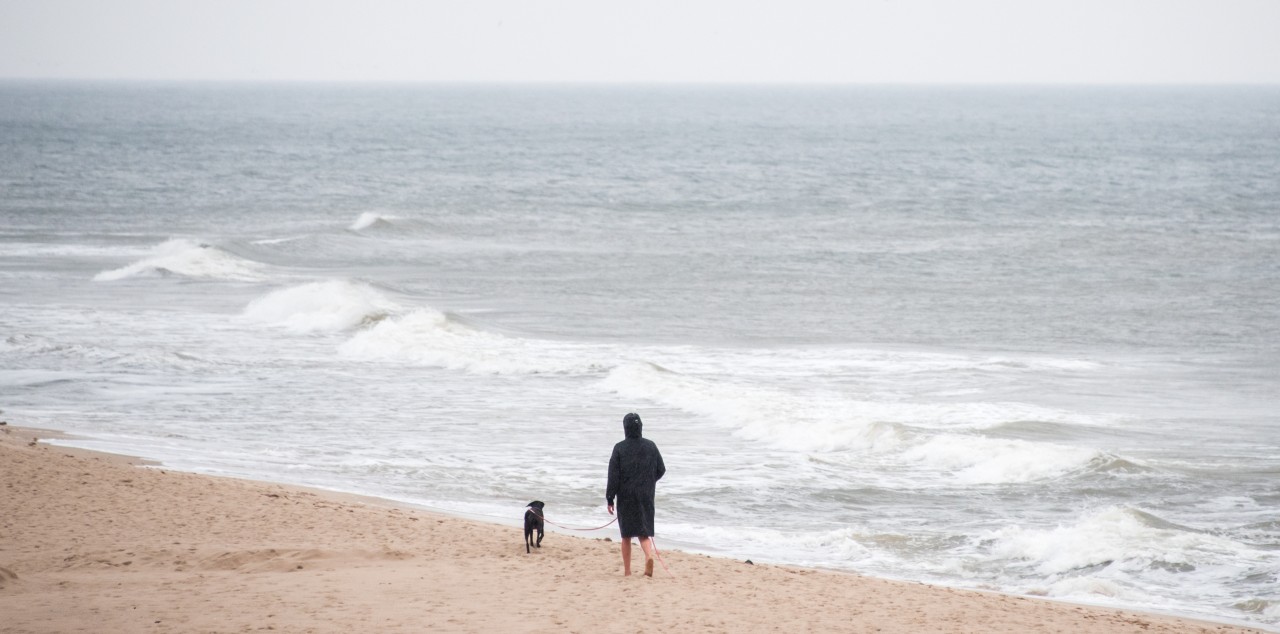 Was ein Mann mit seinem Hund am Strand in Sankt Peter-Ording (SPO) trieb, machte die Menschen dort wütend (Symbolfoto). 