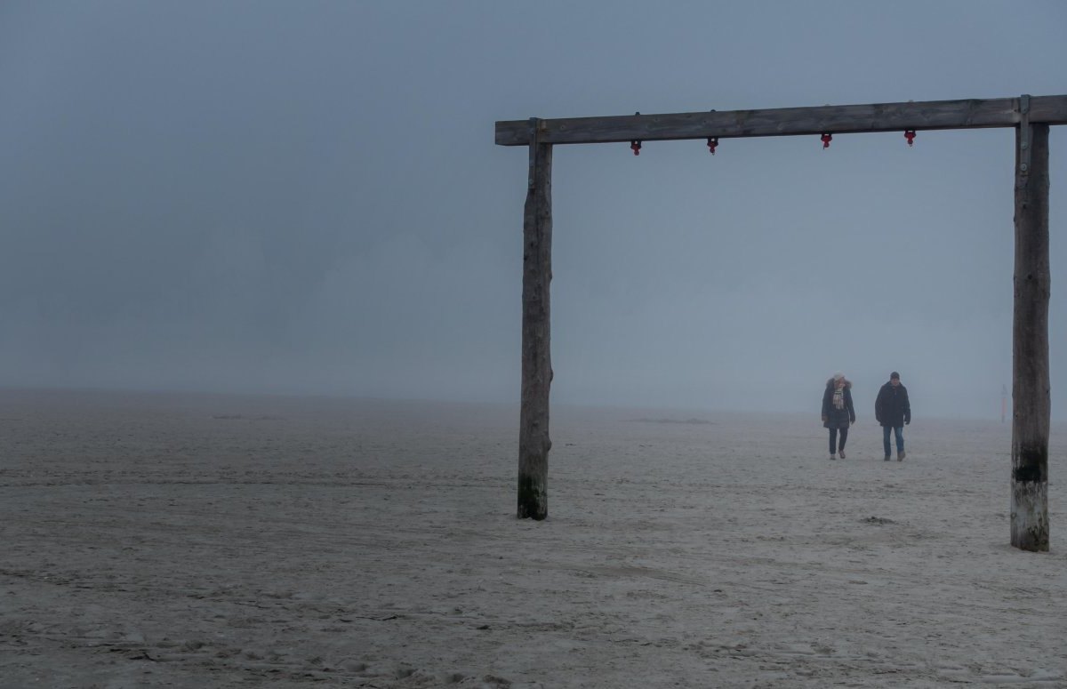 Sankt Peter-Ording (SPO) Watt Beobachtung gruselig Wolf Hund Pfotenabruck Sand Wetter Regen Wolken