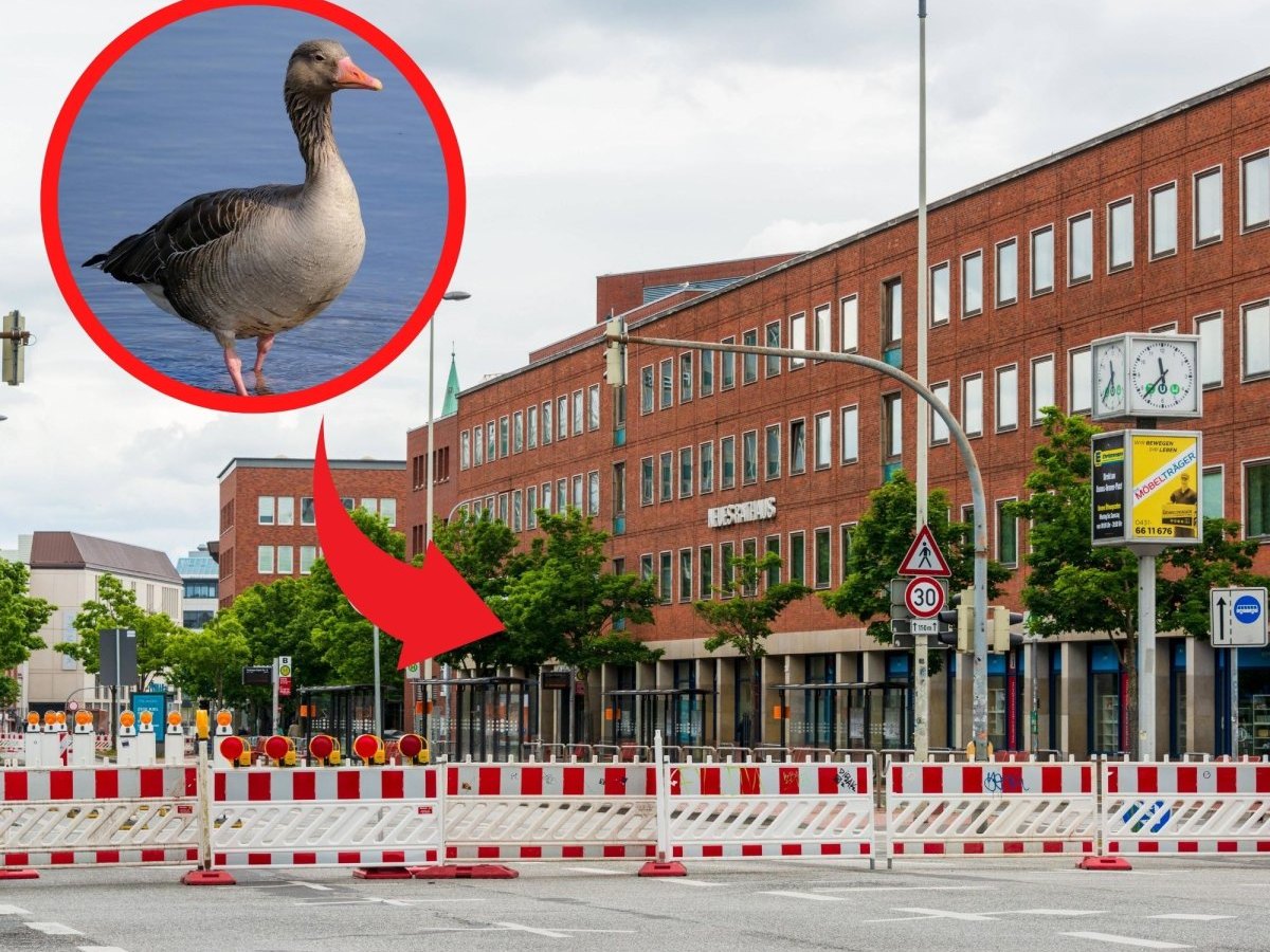 Schleswig Holstein Kiel Gans Straße Sperrung.jpg