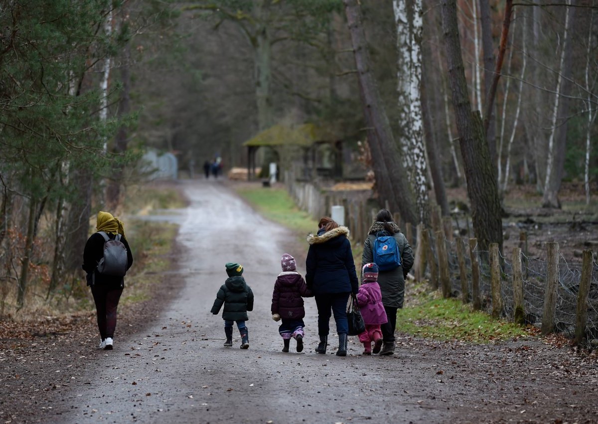 Schleswig-Holstein, Wildpark, Eekholt, Welpen