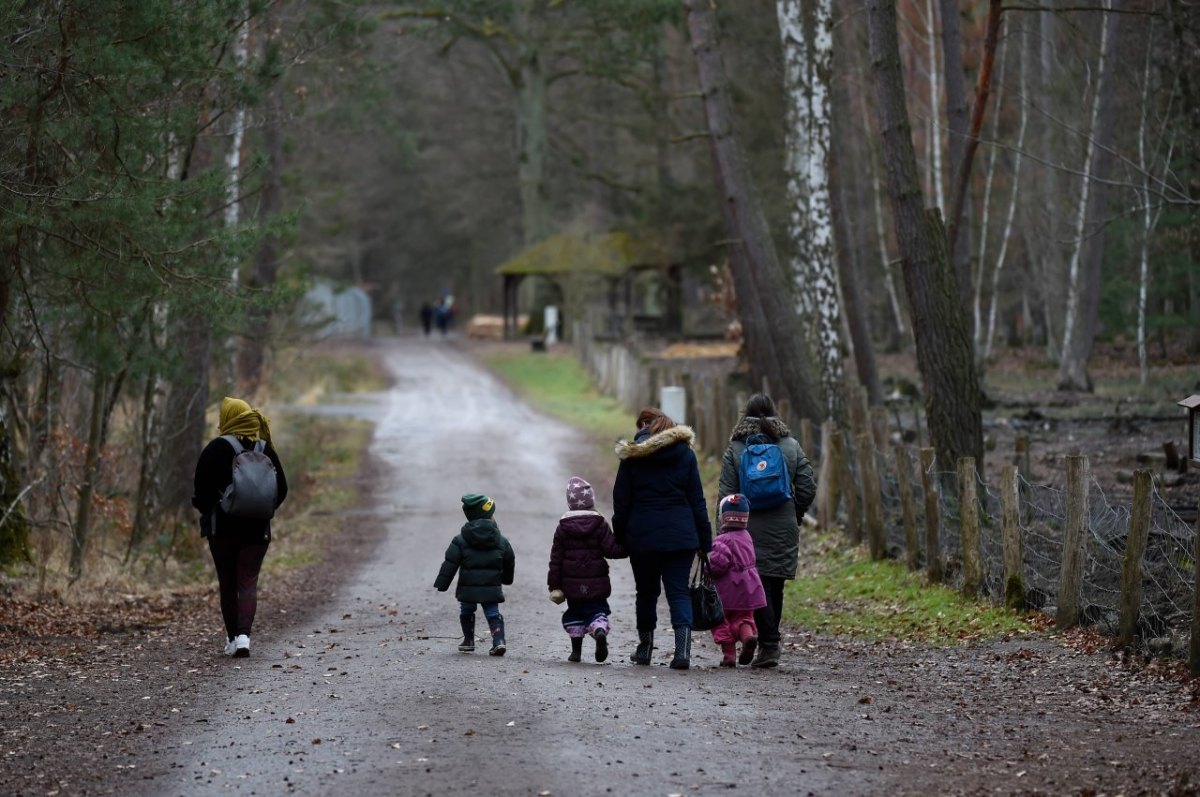 Schleswig-Holstein, Wildpark, Eekholt, Welpen