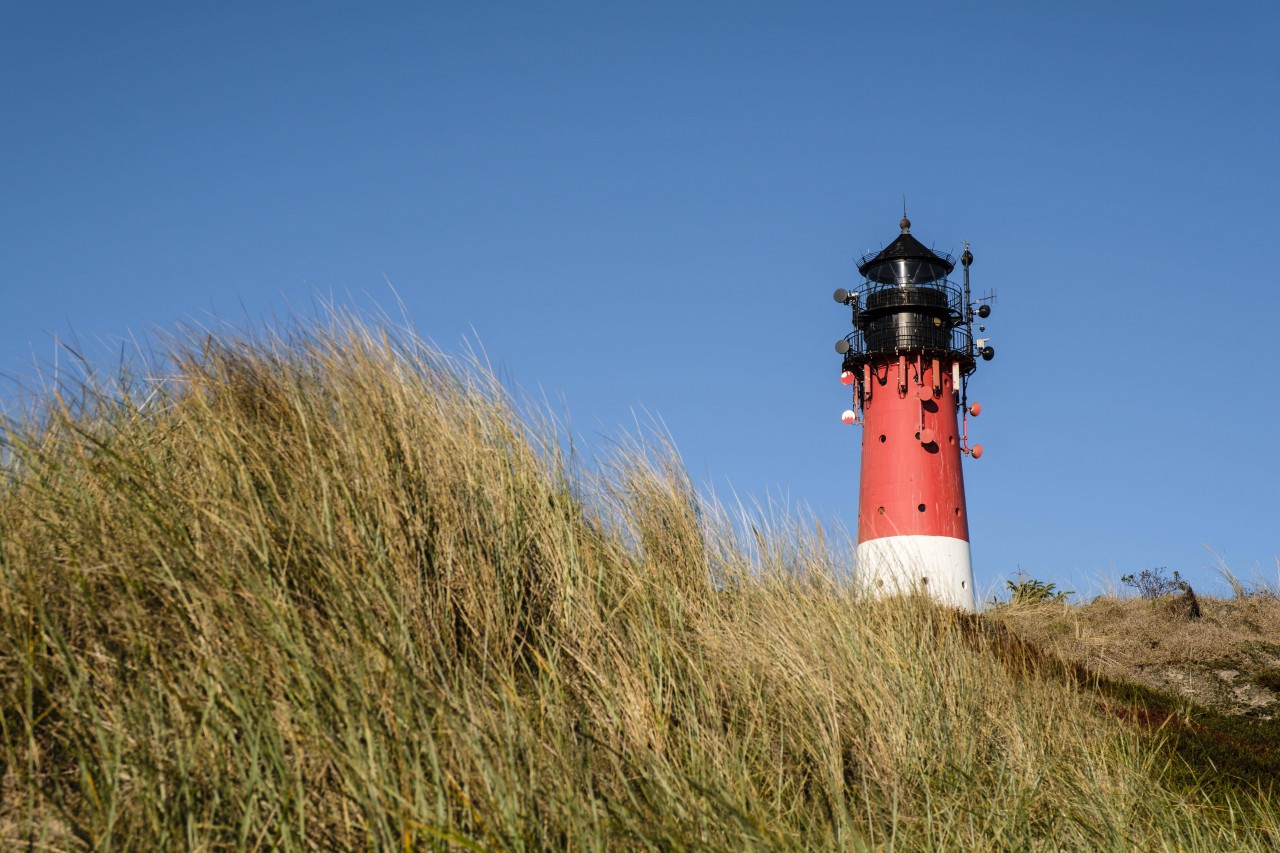 Sylt-Fans sehnen sich nach ihrer Lieblingsinsel.