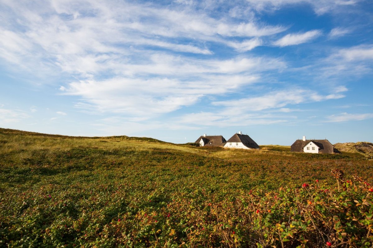 Sylt Dünenpark.jpg