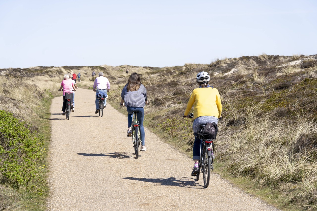 Auf der Insel Sylt gibt es Ärger! Ein Anwohner hat deshalb eine klare Forderun (Symbolbild).