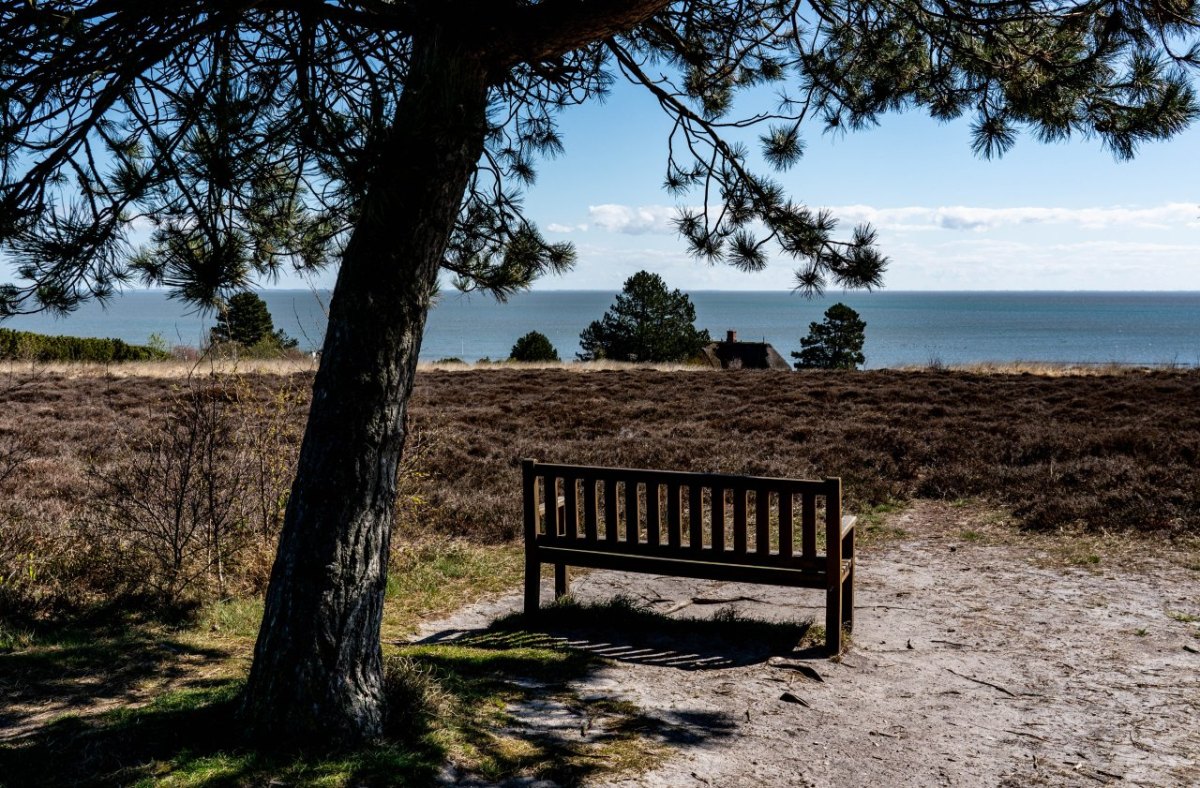 Sylt Kampen