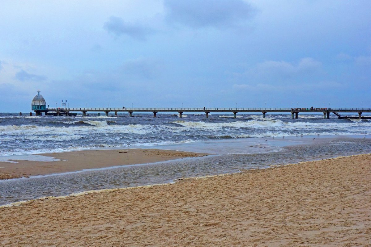 Usedom Insel Ostsee Nordsee Foto Möwe Futter Fütterungsverbot Heringsdorf