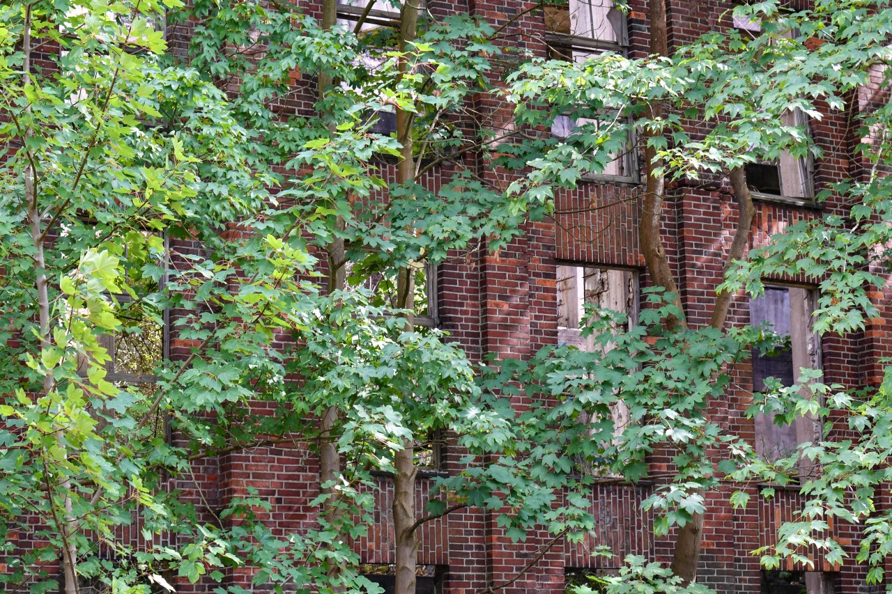 Ein weiterer Lost Place auf Usedom: Das alte Fabrikgelände in Peenemünde.