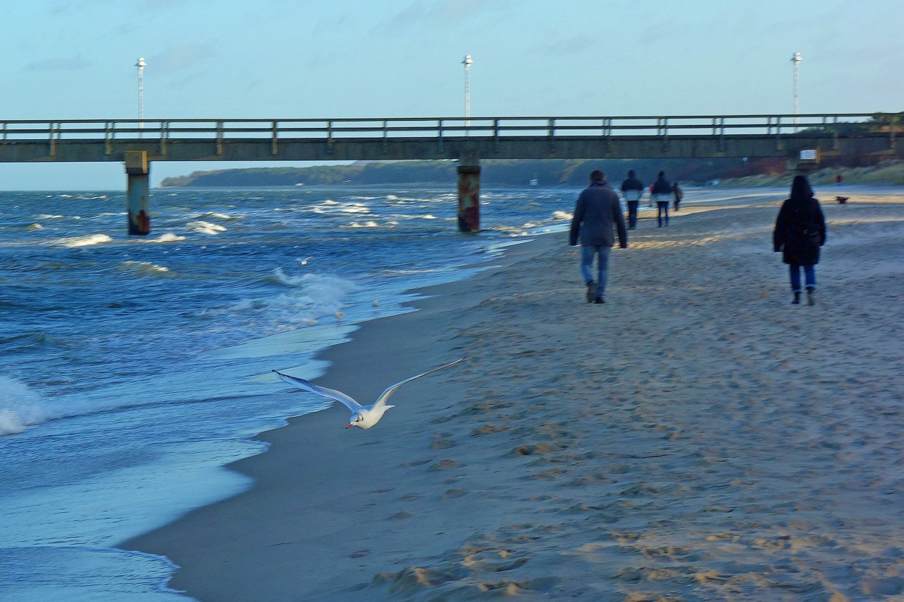 Auf Usedom passierte nachts ein unfassbares Verbrechen. 