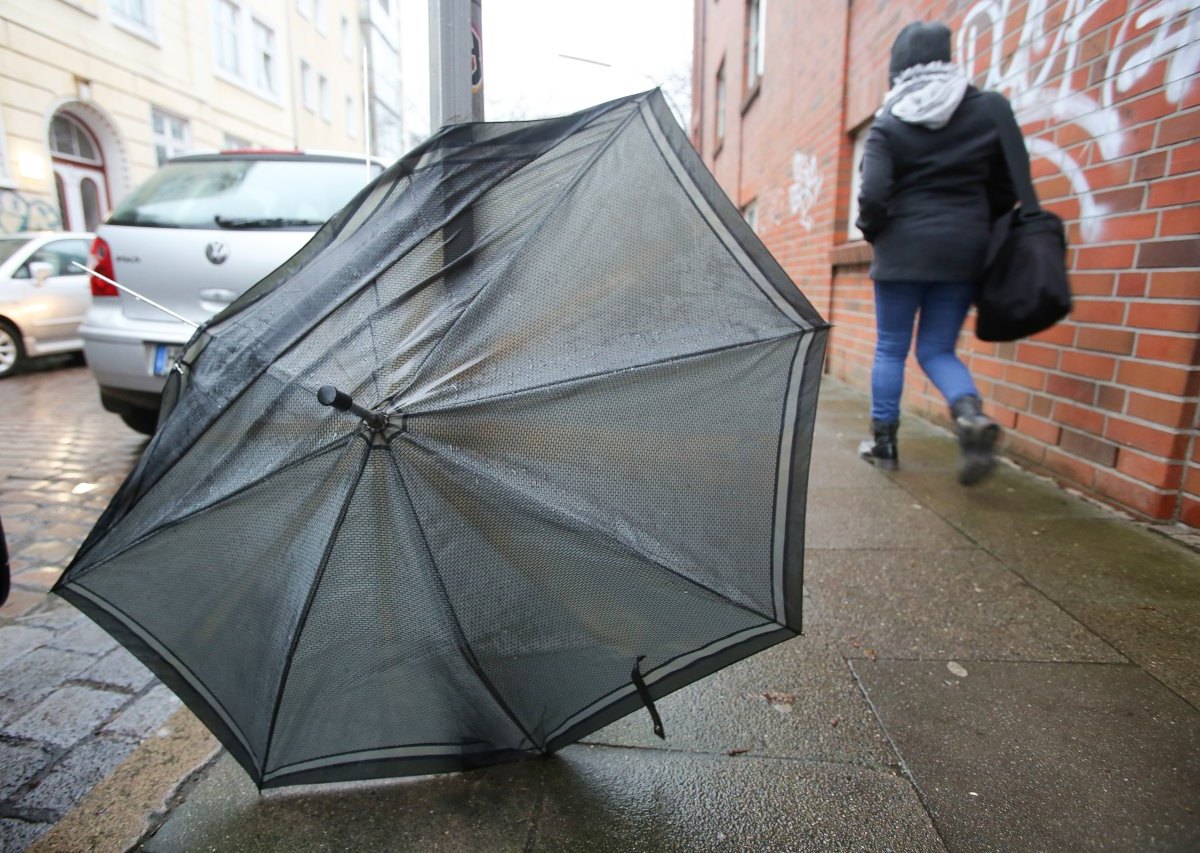 Wetter Hamburg Regen.jpg