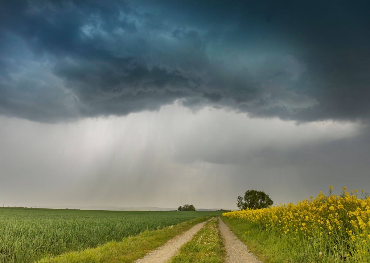 Wetter.jpg