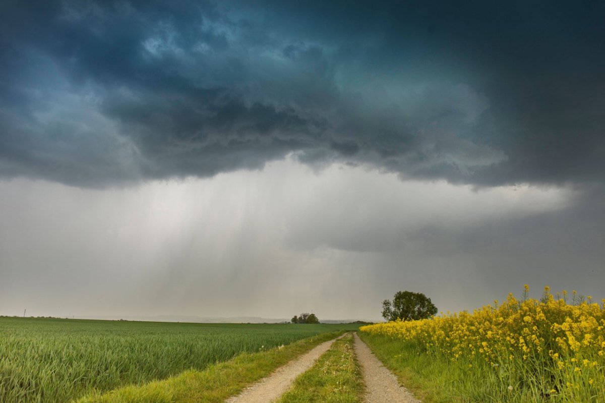 Wetter.jpg