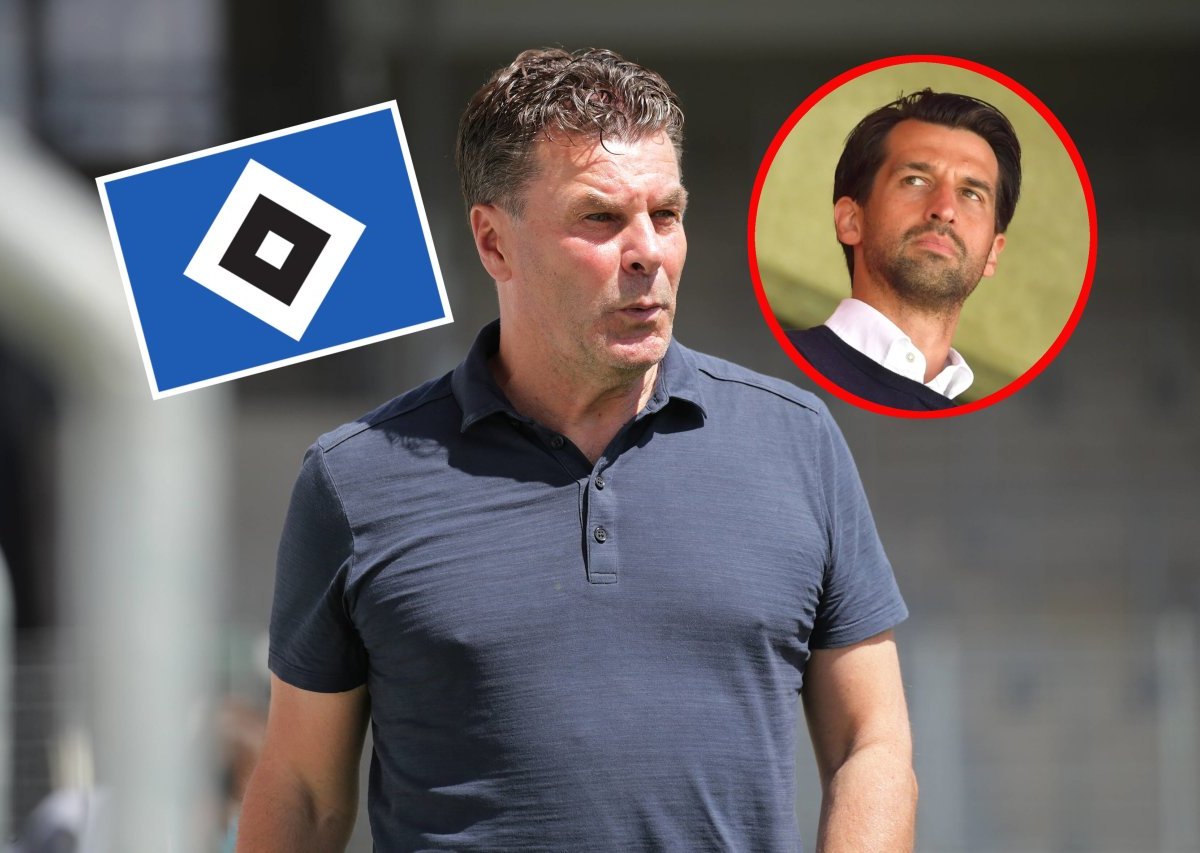 hsv-hamburger-sv-hecking