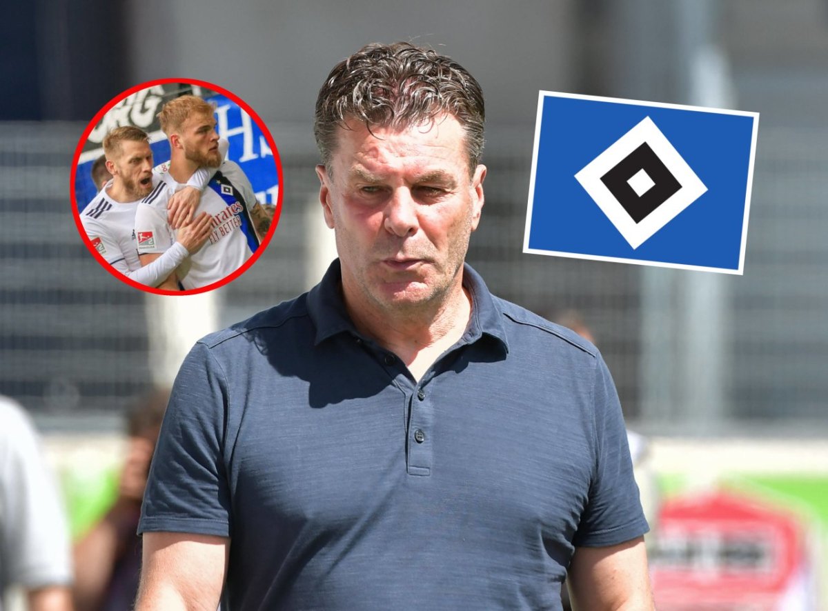 hsv-hamburger-sv-letschert