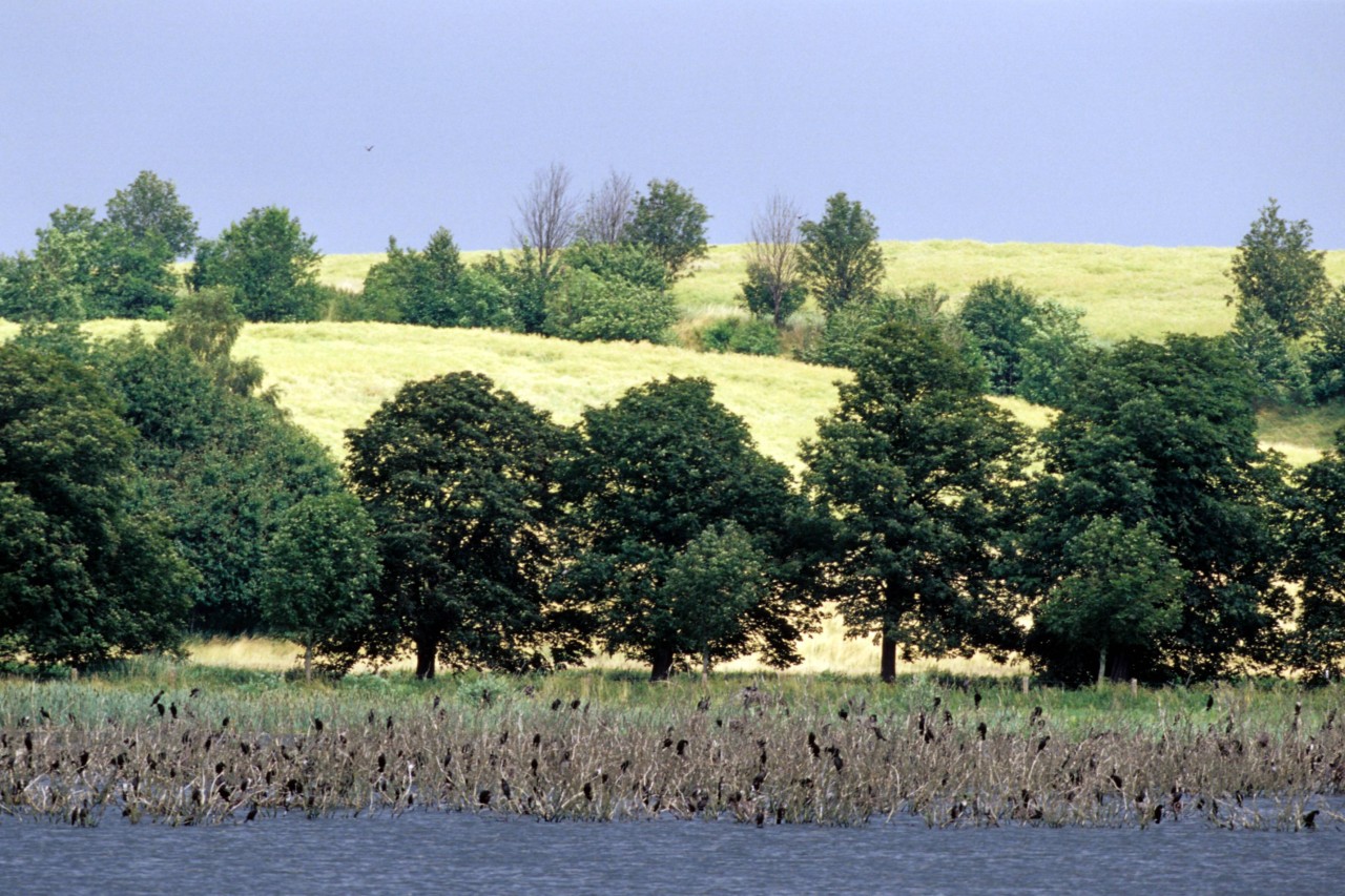 Der Nonnensee auf Rügen. 