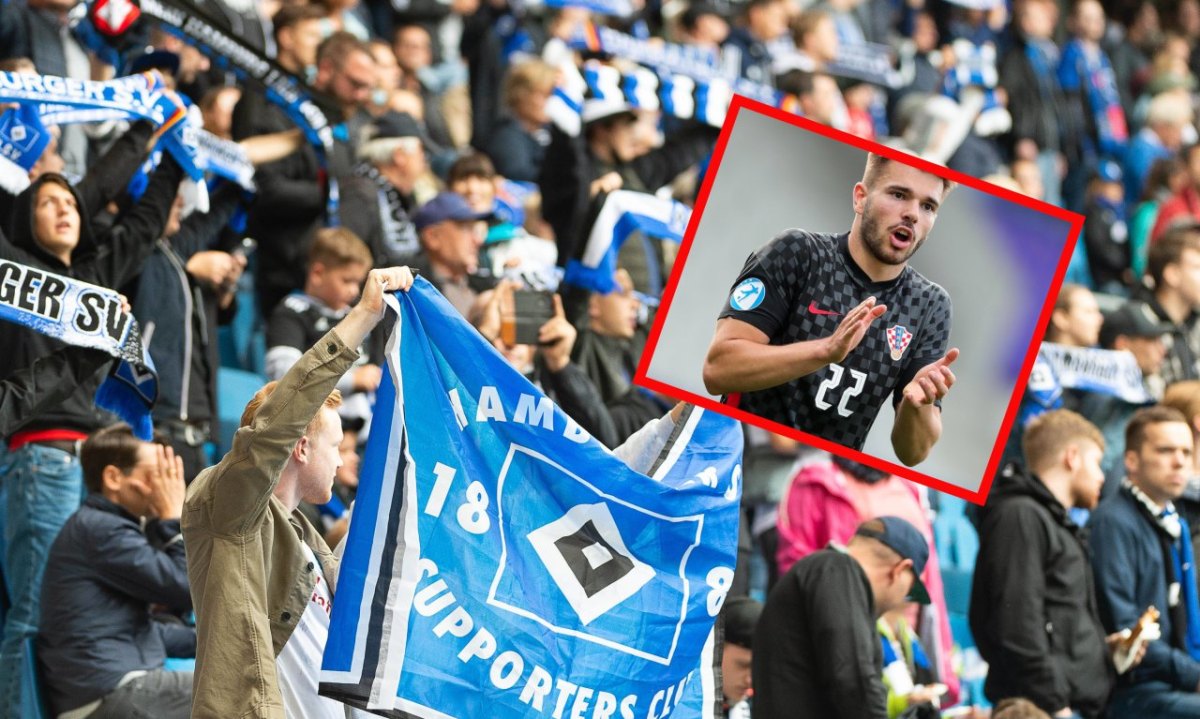 HSV-Vuskovic.jpg