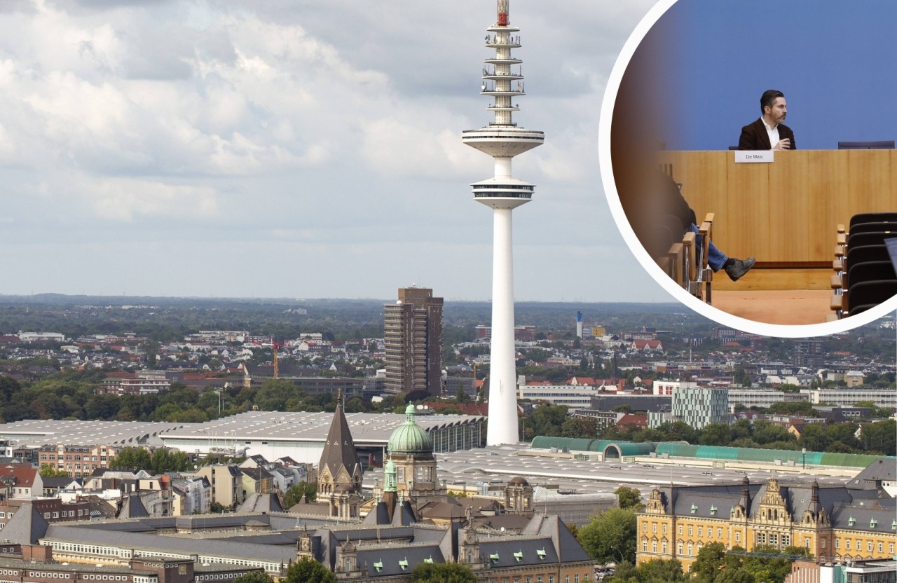 Fabio de Masi aus Hamburg verabschiedet sich aus dem Bundestag und auch aus der Hansestadt.