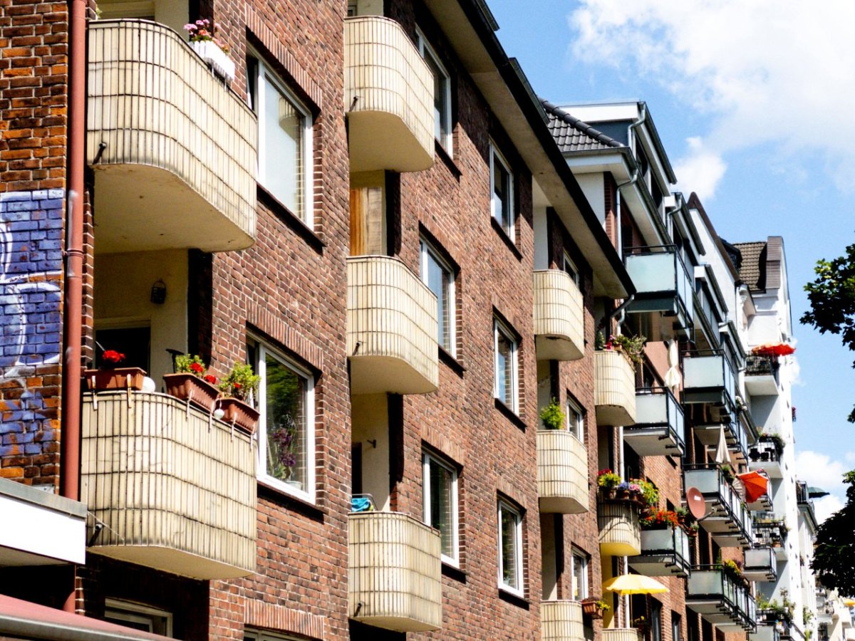 Hamburg Frau Balkon Vogelfutter Nutzhanf Cannabis Facebook Nettwerk