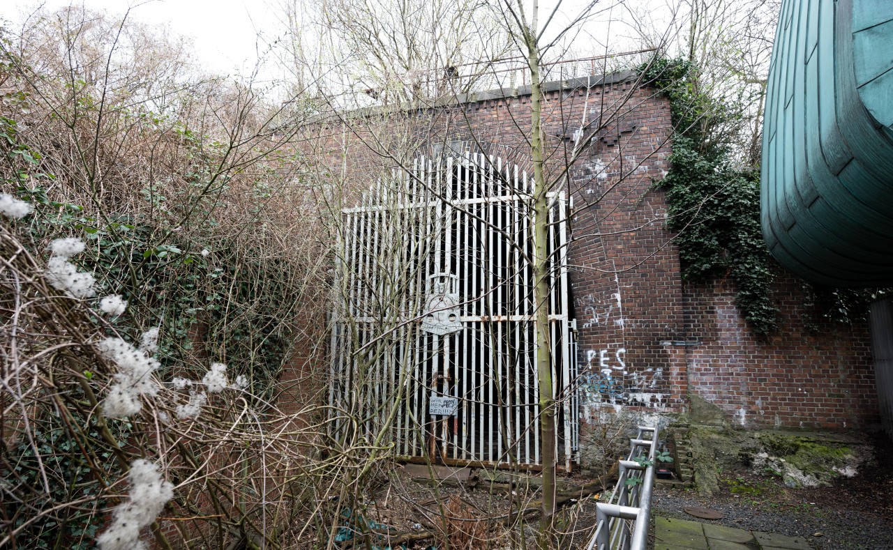 Hamburg: Das Südportal des verschlossenen Schellfischtunnels ist von Pflanzen überwuchert. Rechts zu sehen ist der Bahnsteig, der nie in Betrieb ging.