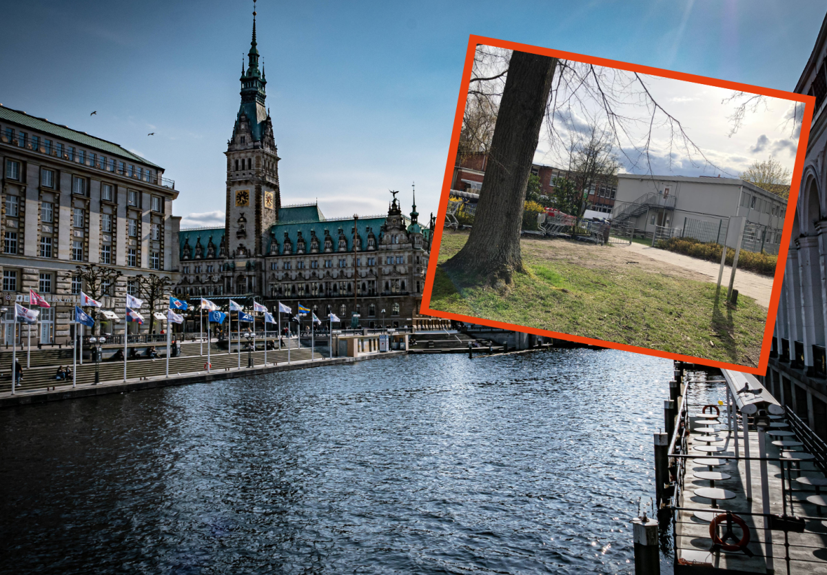 Hamburg Wandsbek Senat Fördern und Wohnen