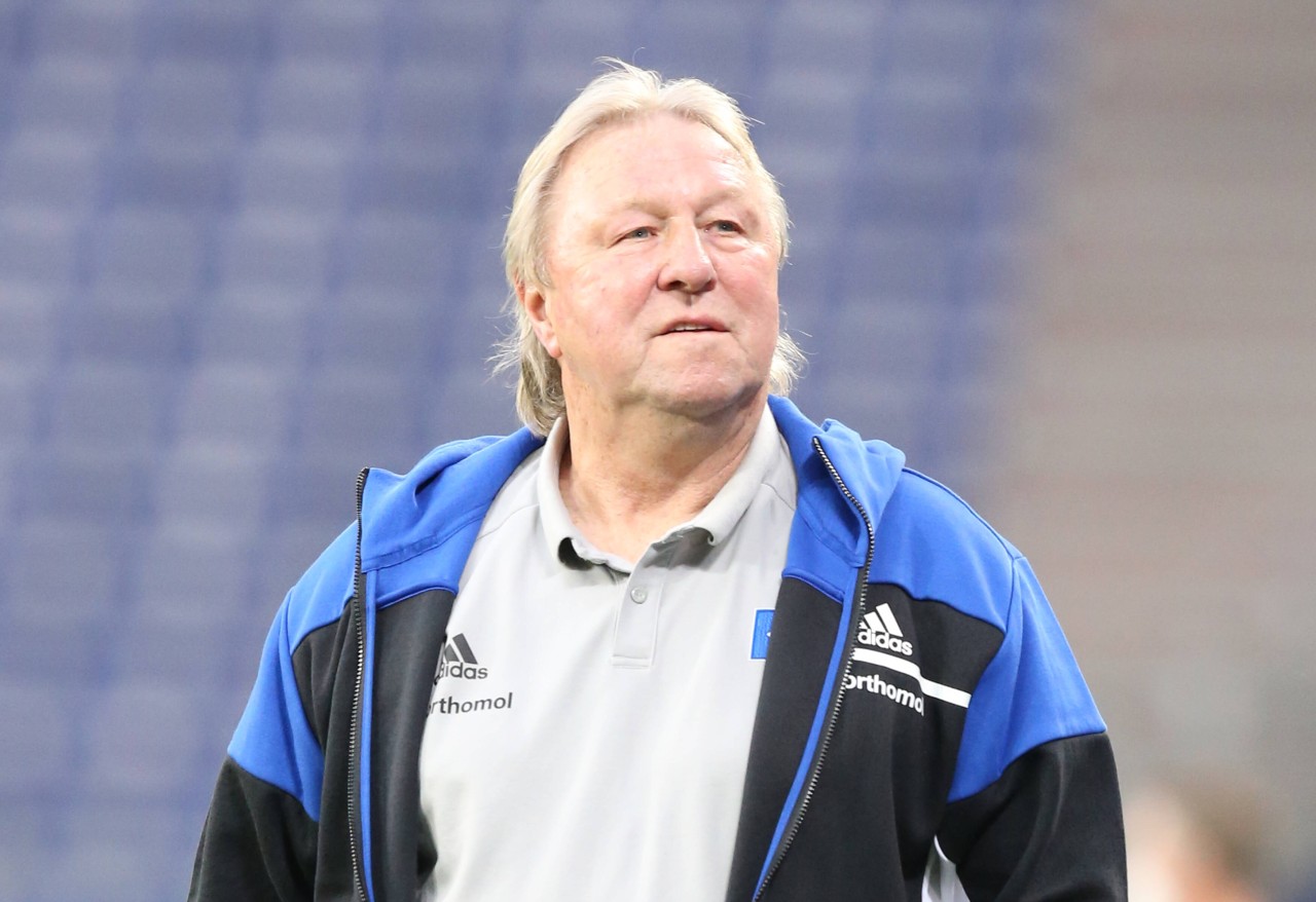 Das Trainer-Intermezzo von Horst Hrubesch beim Hamburger SV endet nach dem 34. Spieltag. Ein Nachfolger soll bereitstehen. 