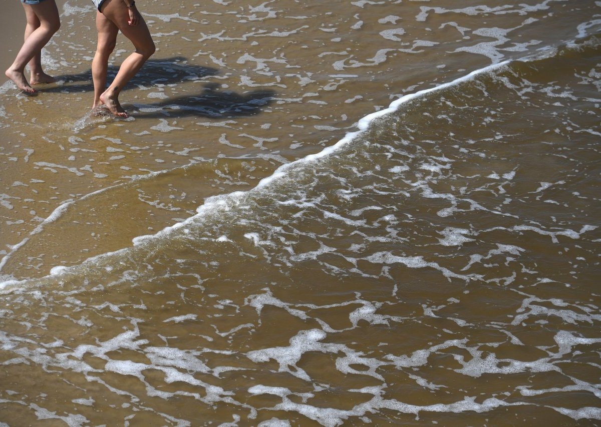 Meer Ostsee Vibrionen.jpg