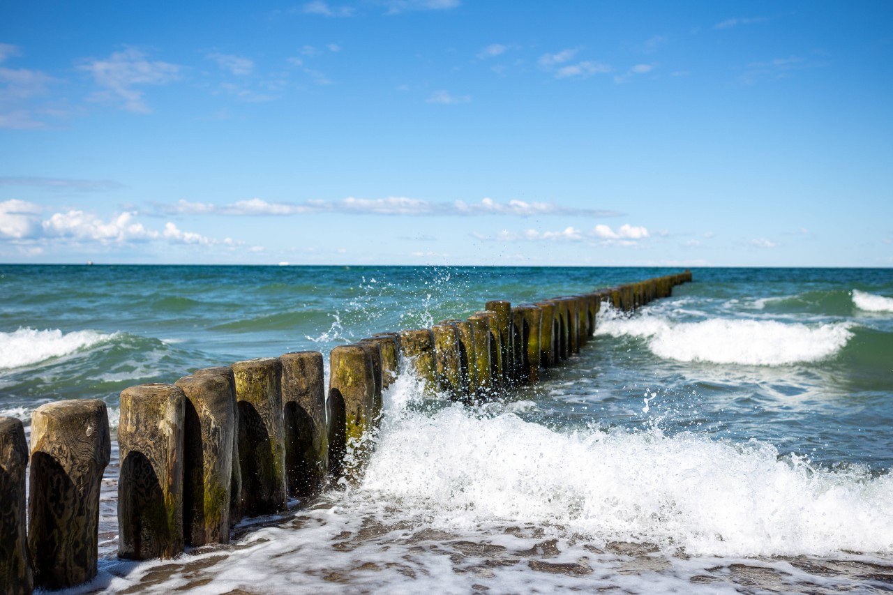 Forscher starteten in diesem Monat ein unglaubliches Projekt im Meer. (Symbolbild) 