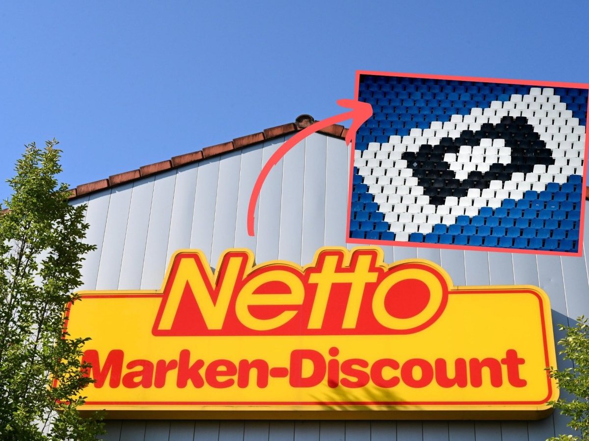 Netto HSV.jpg