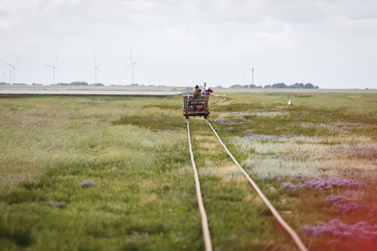 Der Damm von Hallig Oland nach Dagebüll. 