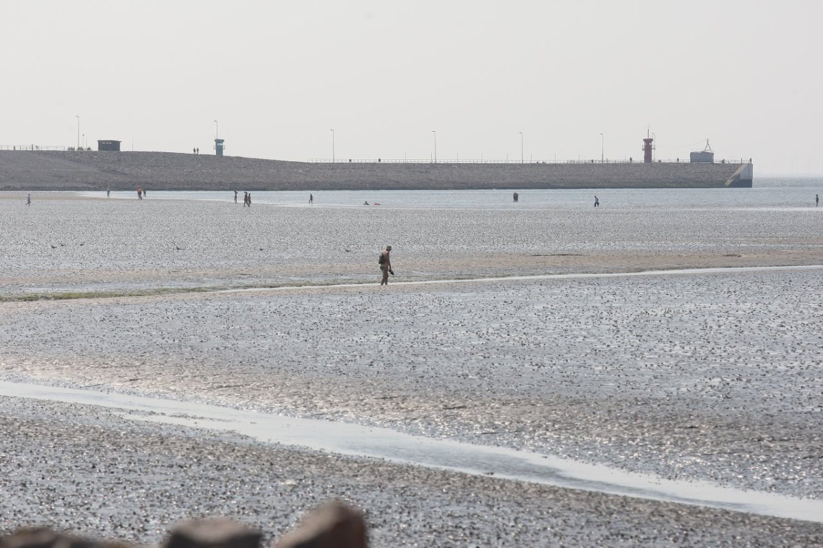 Nordsee Büsum Watt