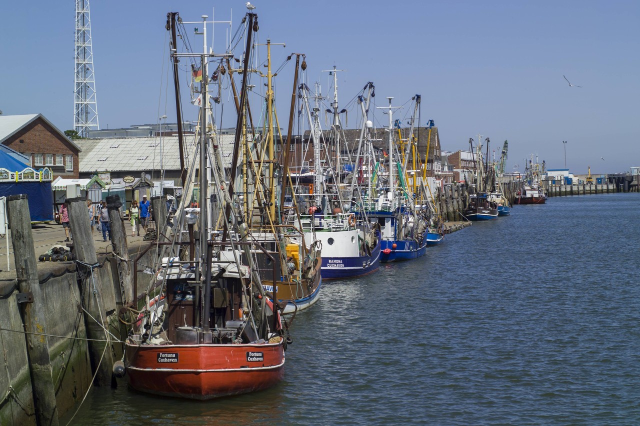 In Cuxhaven an der Nordsee ereignete sich die grausame Tat. 