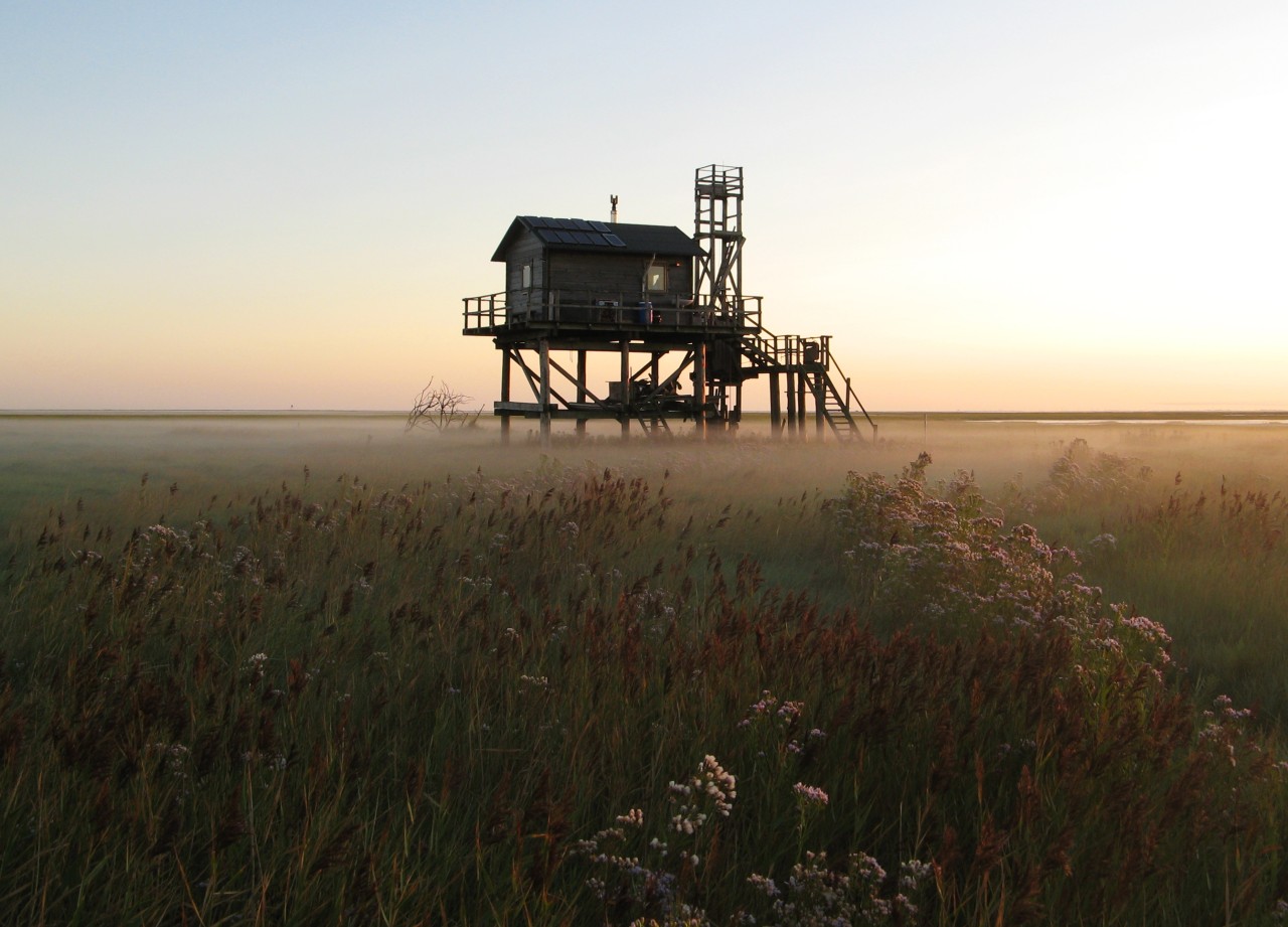 Nordsee: Das NABU-Haus auf Trischen auf einer älteren Aufnahme.