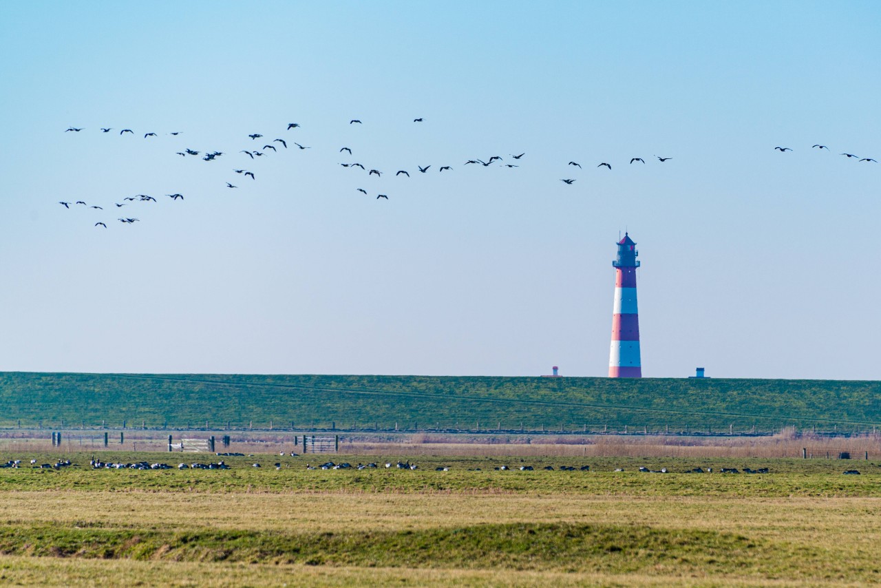 Ein vergangenes Unglück an der Nordsee macht sich noch heute bemerkbar (Symbolbild)