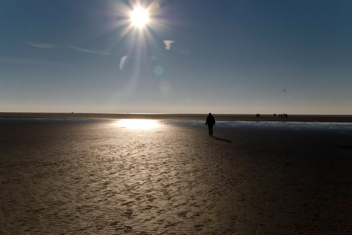 Nordsee Watt.jpg