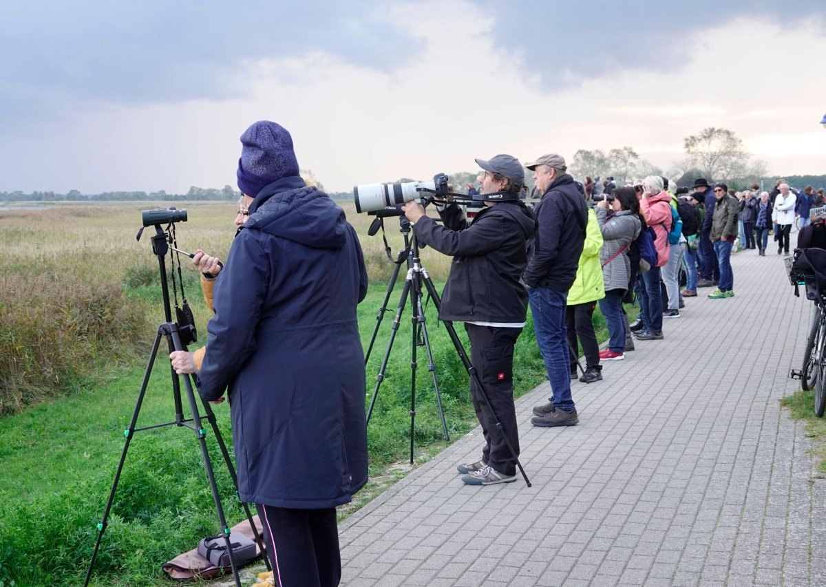 Ostsee.jpg